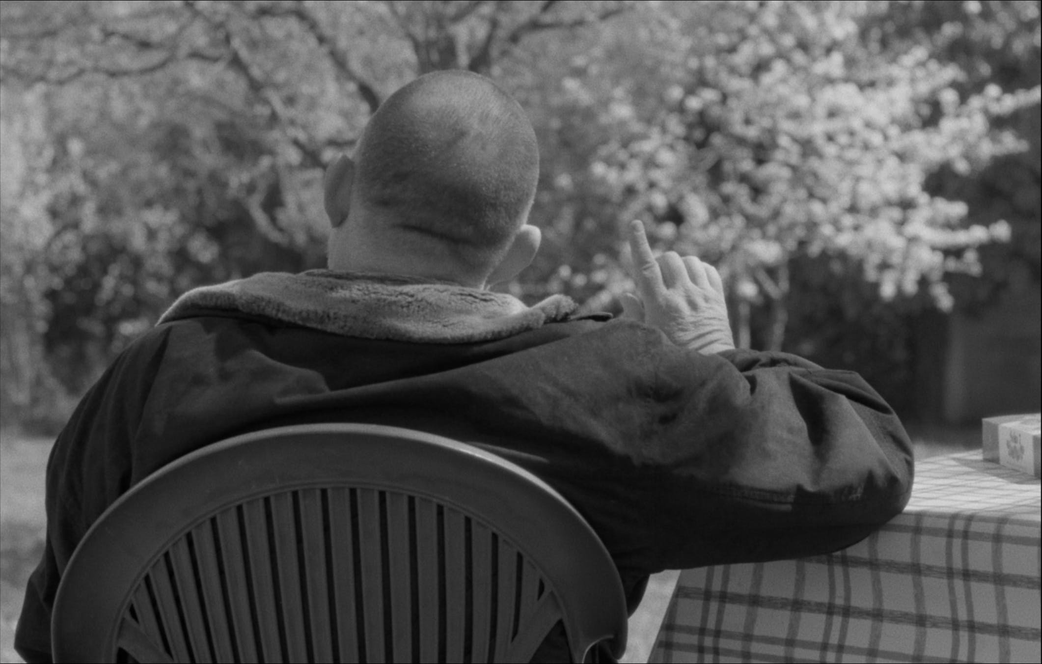 Kome ptice lete Alle Informationen zum Film