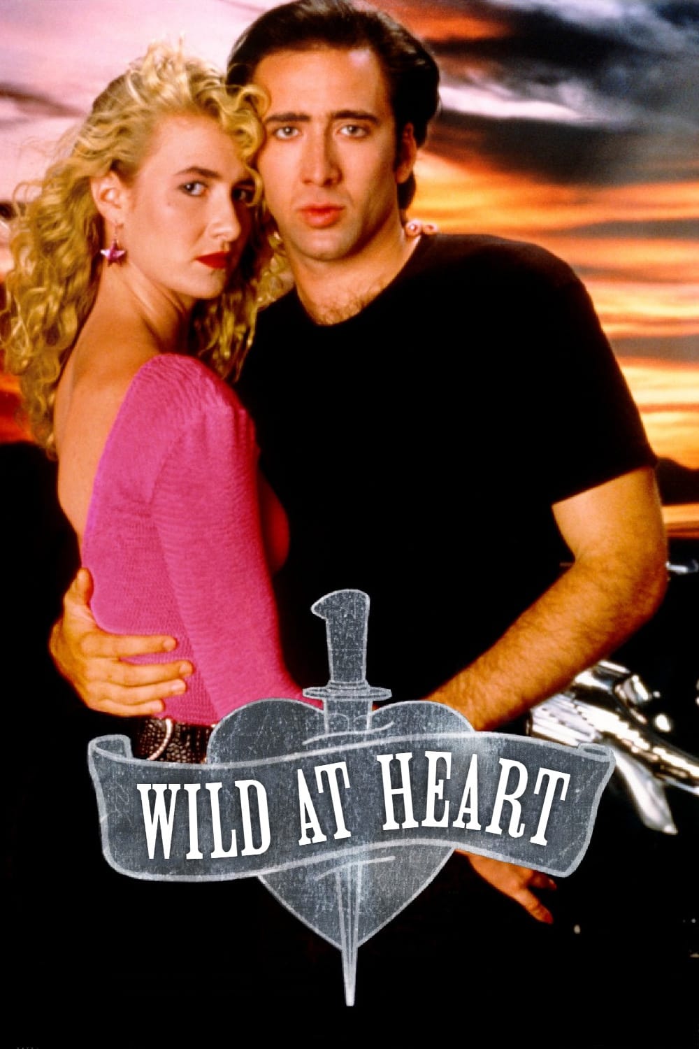 where was wild at heart filmed