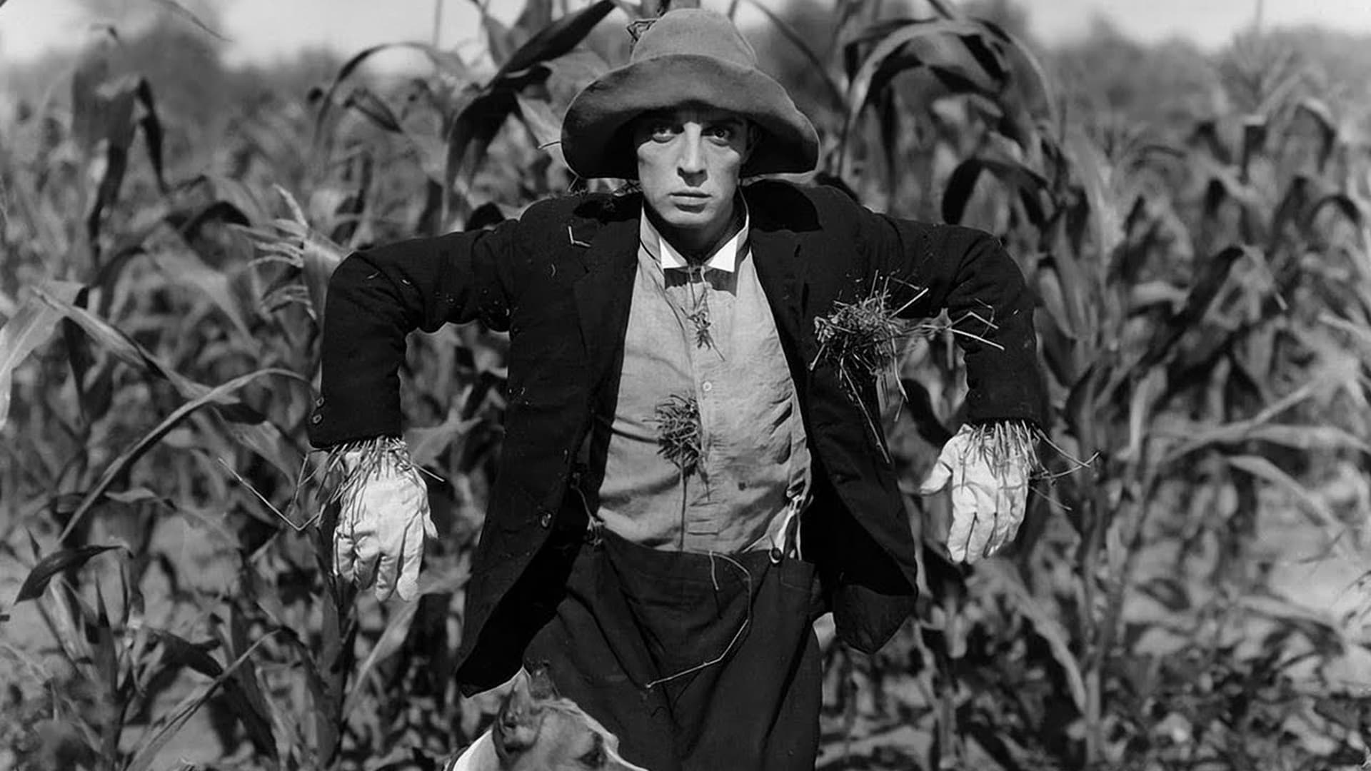The Scarecrow Alle Informationen zum Film