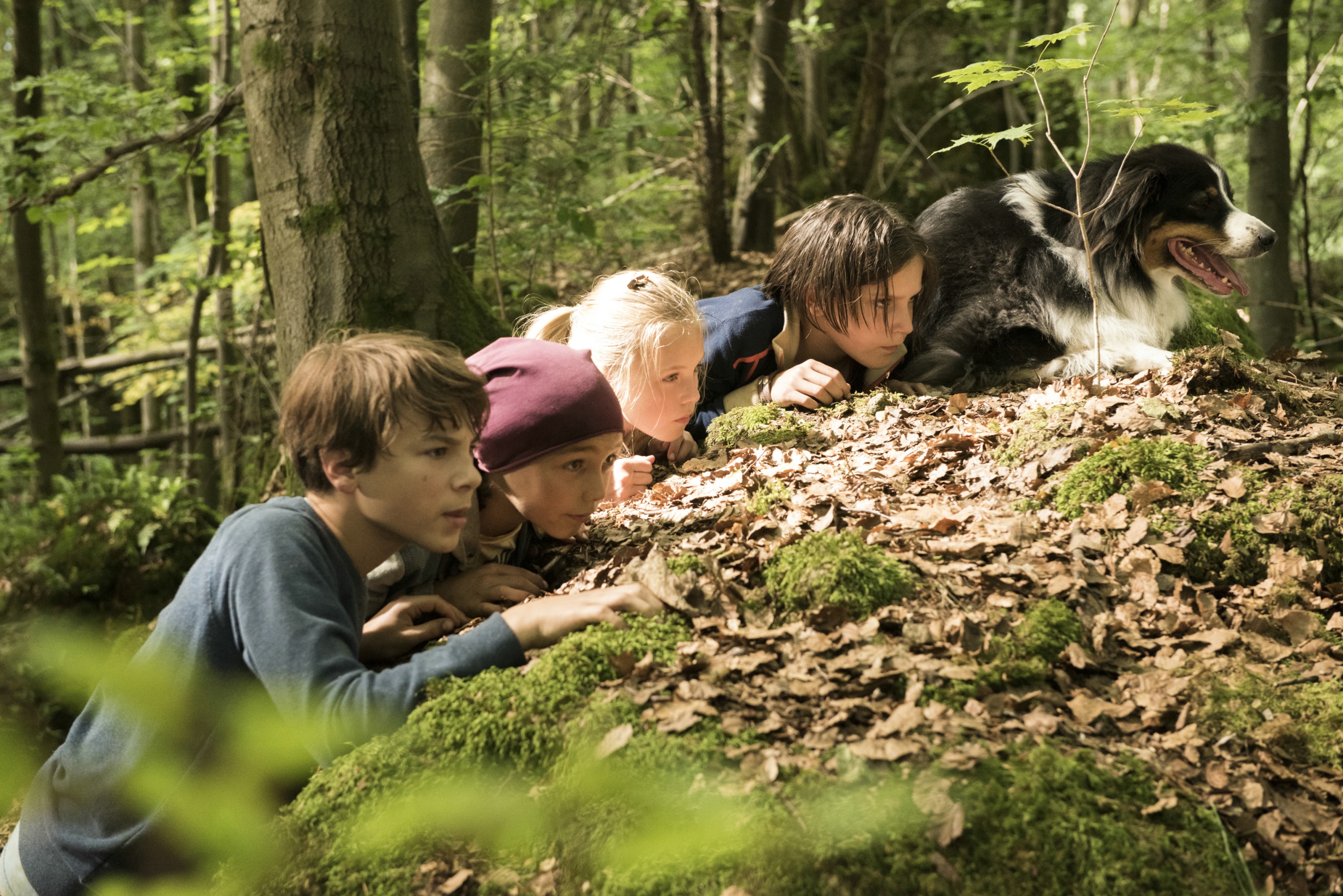 Fünf Freunde und das Tal der Dinosaurier - cinefile Filmportal